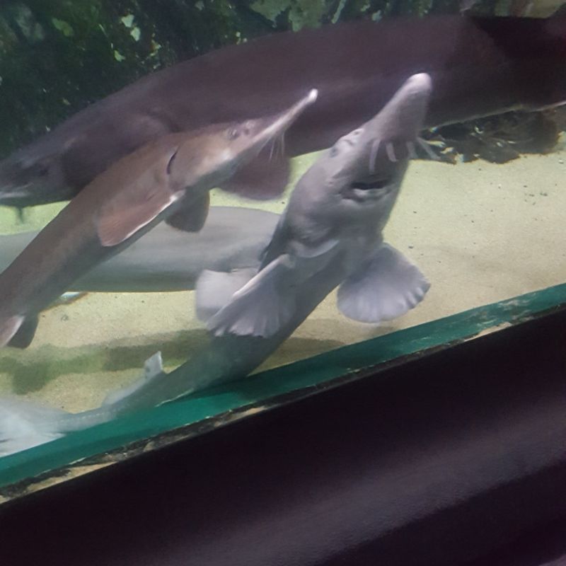 íƒ€ì›ŒíŒ°ë¦¬ìŠ¤